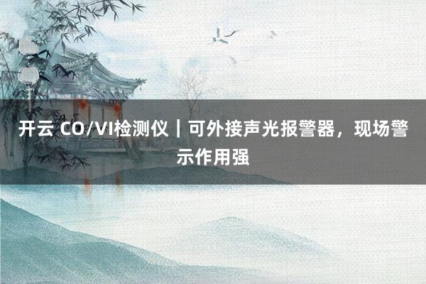 开云 CO/VI检测仪｜可外接声光报警器，现场警示作用强