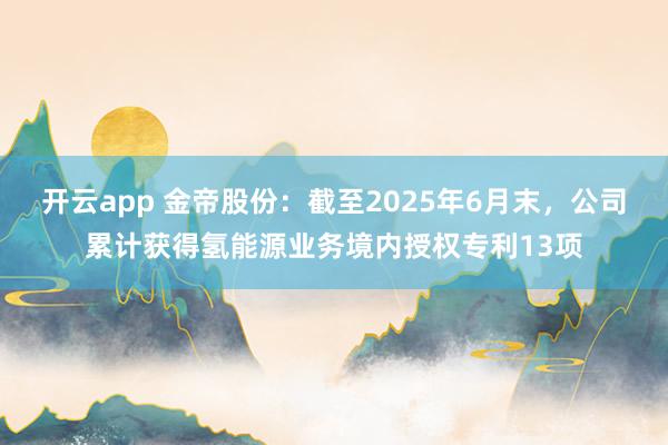 开云app 金帝股份：截至2025年6月末，公司累计获得氢能源业务境内授权专利13项